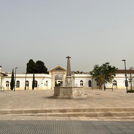 Beautiful Brand New 2 Bedroom Flat With Terrace Málaga Eksteriør billede